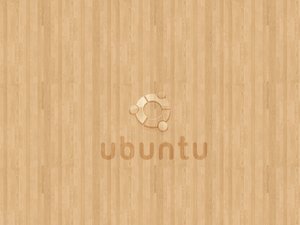 在有限资源下做好目标检测的秘诀